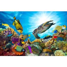  Öntapadó és mosható falfestmény Vízi világ, korallzátony, 350 x 200 cm tapéta, díszléc és más dekoráció