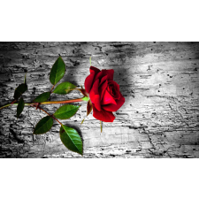 Öntapadó és mosható falfestmény Vörös rózsa, 300 x 250 cm tapéta, díszléc és más dekoráció