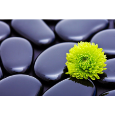  Öntapadó és mosható falfestmény Zöld krizantém kövekkel, 350 x 250 cm tapéta, díszléc és más dekoráció