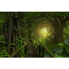  Öntapadó és mosható fali tapéta Jungle light, 300 x 250 cm tapéta, díszléc és más dekoráció