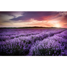  Öntapadó és mosható fali tapéta Lavender4, 250 x 200 cm tapéta, díszléc és más dekoráció