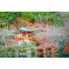  Öntapadó és mosható fali tapéta Natura107, 350 x 200 cm tapéta, díszléc és más dekoráció