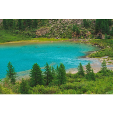  Öntapadó és mosható fali tapéta Natura113, 250 x 200 cm tapéta, díszléc és más dekoráció