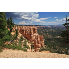 Öntapadó és mosható fali tapéta Natura120, 250 x 200 cm tapéta, díszléc és más dekoráció