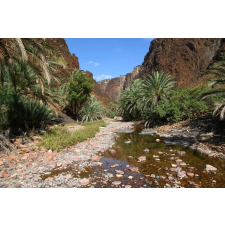  Öntapadó és mosható fali tapéta Natura124, 250 x 150 cm tapéta, díszléc és más dekoráció