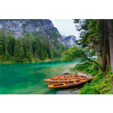  Öntapadó és mosható fali tapéta Natura125, 200 x 150 cm tapéta, díszléc és más dekoráció