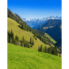  Öntapadó és mosható fali tapéta Natura135, 150 x 205 cm tapéta, díszléc és más dekoráció