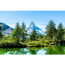  Öntapadó és mosható fali tapéta Natura146, 350 x 200 cm tapéta, díszléc és más dekoráció