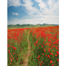  Öntapadó és mosható fali tapéta Natura26, 150 x 205 cm tapéta, díszléc és más dekoráció