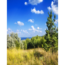  Öntapadó és mosható fali tapéta Natura48, 150 x 205 cm tapéta, díszléc és más dekoráció