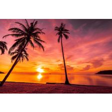  Öntapadó és mosható fali tapéta Palmieri26, 350 x 200 cm tapéta, díszléc és más dekoráció