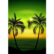  Öntapadó és mosható fali tapéta Palmieri7, 250 x 200 cm tapéta, díszléc és más dekoráció