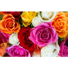  Öntapadó és mosható fali tapéta Színek robbanása, 350 x 250 cm tapéta, díszléc és más dekoráció