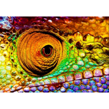  Öntapadó és mosható falikép Cameleon, 250 x 200 cm tapéta, díszléc és más dekoráció