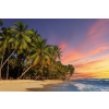  Öntapadó és mosható falikép Plaja67 pálmafákkal naplementekor, 250 x 150 cm