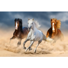  Öntapadó tapéta Horses, galopp, homok2, 250 x 200 cm tapéta, díszléc és más dekoráció