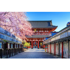  Öntapadós tapéta Flowers153 Japán templom cseresznyevirággal, 250 x 200 cm tapéta, díszléc és más dekoráció