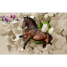  Öntapadós tapéta Gallop over akadályok, 350 x 250 cm tapéta, díszléc és más dekoráció