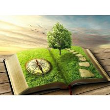  Öntapadós tapéta Időkönyv, 250 x 200 cm tapéta, díszléc és más dekoráció