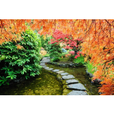  Öntapadós tapéta Japán kert 2, 200 x 150 cm tapéta, díszléc és más dekoráció