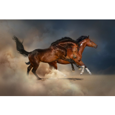  Öntapadós tapéta Két barna ló, homok, vágta, 250 x 150 cm tapéta, díszléc és más dekoráció