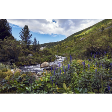  Öntapadós tapéta Natura103, 250 x 150 cm tapéta, díszléc és más dekoráció