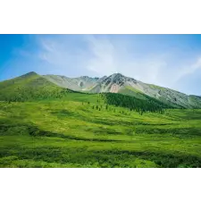  Öntapadós tapéta Natura108, 300 x 200 cm tapéta, díszléc és más dekoráció