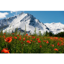  Öntapadós tapéta Natura122, 300 x 200 cm tapéta, díszléc és más dekoráció