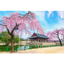  Öntapadós tapéta Natura164 koreai palota cseresznyevirággal, 200 x 150 cm tapéta, díszléc és más dekoráció
