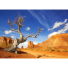  Öntapadós tapéta Natura173 Arizona Grand Canyon, 250 x 200 cm