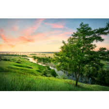  Öntapadós tapéta Natura174 Valley akácos, 350 x 200 cm tapéta, díszléc és más dekoráció