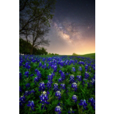  Öntapadós tapéta Natura39, 150 x 205 cm tapéta, díszléc és más dekoráció