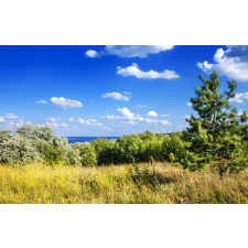  Öntapadós tapéta Natura48, 200 x 150 cm tapéta, díszléc és más dekoráció