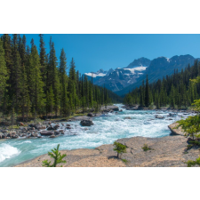  Öntapadós tapéta Natura56, 250 x 150 cm tapéta, díszléc és más dekoráció