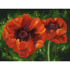  Öntapadós tapéta Pipacsok, festmény, absztrakt, 400 x 250 cm tapéta, díszléc és más dekoráció