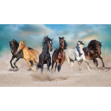  Öntapadós tapéta Porviharban vágtató lovak, 400 x 250 cm tapéta, díszléc és más dekoráció