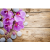  Öntapadós tapéta Rózsaszín orchidea kövekkel, 300 x 200 cm