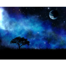  Öntapadós tapéta Univers9 Tree a csillagok között, 250 x 200 cm tapéta, díszléc és más dekoráció