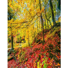  Öntapadós tapéta Vörös leveles szőnyeg, 150 x 205 cm tapéta, díszléc és más dekoráció