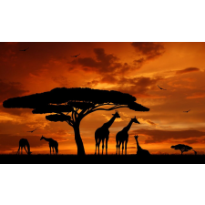  Öntapadós tapéta Zsiráfok, naplemente, 250 x 200 cm tapéta, díszléc és más dekoráció