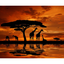  Öntapadós tapéta Zsiráfok, sunset2, 200 x 150 cm tapéta, díszléc és más dekoráció