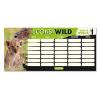  Órarend ARS UNA egylapos kétoldalas Icons of the Wild-Lions