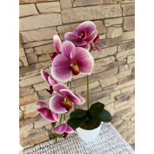  Orchidea 1 szálas  kerámia kaspóban -lilás árnyalatú dekoráció