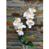  Orchidea gumis 2 ágú 2 leveles 45 cm - Fehér
