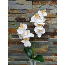  Orchidea gumis 2 ágú 2 leveles 45 cm - Fehér dekoráció