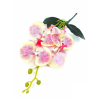  Orchidea gumis Phalaenopsis 4 fejes 2 leveles művirág 37 cm - Krém-Rózsaszín
