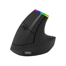 Ordissimo ergonomic wireless mouse (ART0425) egér