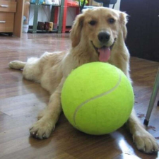  Óriás teniszlabda kutyajáték (24 cm) játék kutyáknak