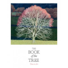 Orion Publishing Co Book of the Tree | Kendra Wilson
