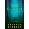 Orion Publishing Co Imaginary Friend | Stephen Chbosky
